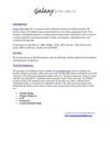 Website Design Company, Custom Web Development, Software Solutions, SEO, SEM in USA and India