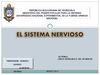 MODULO 2 ANATOMÍA HUMANA
