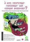 A qui profitent les grands barrages ? Amis de la Terre - France