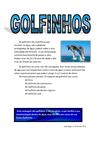 Trabalho de CN_Pesquisa sobre o golfinho