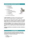 GÉNEROS PERIODÍSTICOS