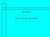 MCIA TEMA V Ciclo Real MCIA