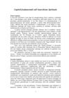 Capitoli Fondamentali sull'Anarchismo Spirituale