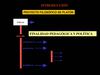 IDEAS PRINCIPALES DE PLATON