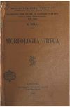 Morfologia greca