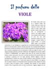 Il profumo delle viole di Ilaria Tigano