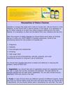 candida cleanse