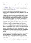 Infracom / DG Massimo Lippi: Azienda in continua crescita