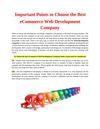 Important Points to Choose the Best eCommerce Web Development Company