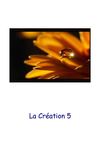 La création de la nature