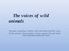 The voices of wild animals