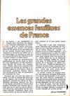 Les grandes essences feuillues en France