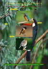 TALLER DE AVES. 5º PRIMARIA.