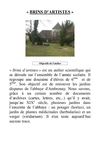 Brins d'artistes Atelier