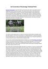 An Excursion of Kaziranga National Park