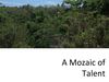Architecture Firm India | Product Design India | Mozaic.in 