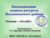 Akvalife_презентация