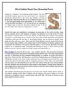 Silver Sudoku Boosts Your Reasoning Power
