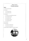 TEMA 10 EL SECTOR TERCIARIO
