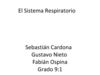 El Sistema Respiratorio 