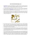 Rules To Be Followed While Designing A Logo