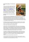 Kentucky Derby Betting – To Do’s Before The Race