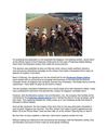 Kegasus: The Preakness Stakes Betting Infield Event Mascot