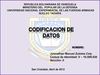 CODIFICACIÓN DE DATOS 