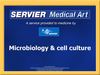 Microbiology_cellculture