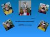1_Бригантина_МКОУ Хохловская СОШ