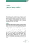 Jatropha Cultivation