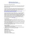 Synergy Energy - Strategy and SWOT Report