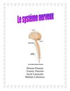 Le système nerveux
