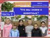 2_Гвоздичка_МКОУ Хохловская СОШ