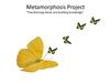 2. tesis y otros proyectos.pdf