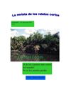 proyecto mario heredia 5to a