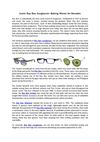 Iconic Ray Ban Sunglasses Making Waves for Decades