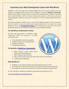 Customize your Web Development needs with WordPress