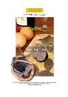 GB-Truffle