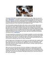MLB Betting – Favorites Are A Big No!