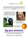 Bang Bang Bébi különkiadás