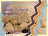 Presentacion