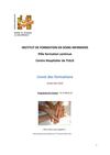 Livret de formation en soins infirmiers IFSI de Tulle - Pôle formation continue 