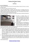 Paintless Dent Repair Training