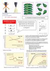 Test C 99 HAP 0² et imbrûlés - Solubilise les boues et fractionne les agglomérations par effet physique 