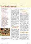 Nut-Oil to biodiesel: Jatropha Curcas, An Undemanding Plant for Biodiesel Production 