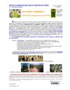 Les huiles végétales: 2 000 plantes oléagineuses répertoriées 