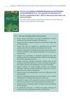 Jatropha: a Smallholder Bioenergy Crop: Jatropha and Pro-Poor Development 