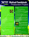  Freeways to Fuel: Biodiesel Feedstock Production Project 