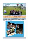 eCourrier Bne Akivah de France Badmidbar Shavouot mai 2012